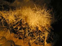 Jaskinia Aragonitowa
